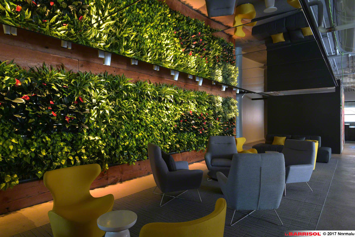 Projet de bureaux Barrisol Mirror® avec mur végétal